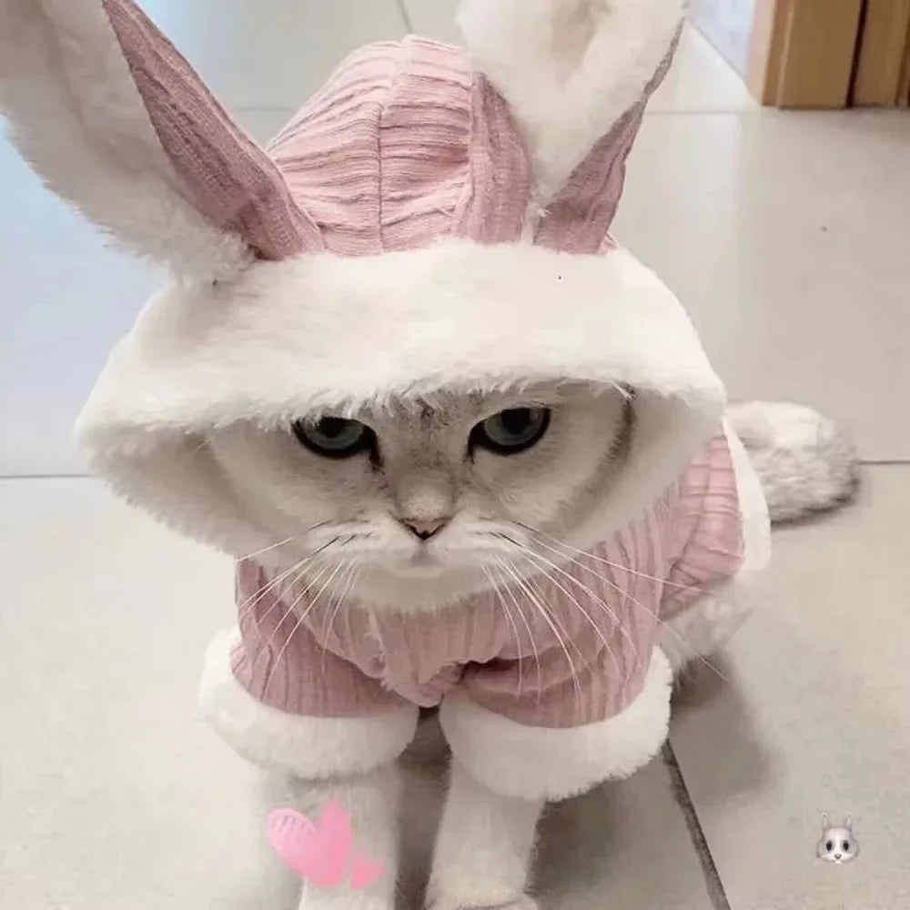 Lovable Cat Clothes Pet Autumn and Winterb Small Dog Kitten Two Legged Clothes Cat Puppy Warm Clothes Pet Costume Hairless Cat